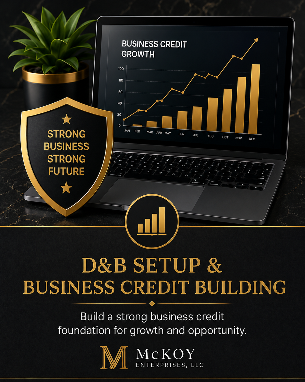 D&B Setup & Business Credit Building